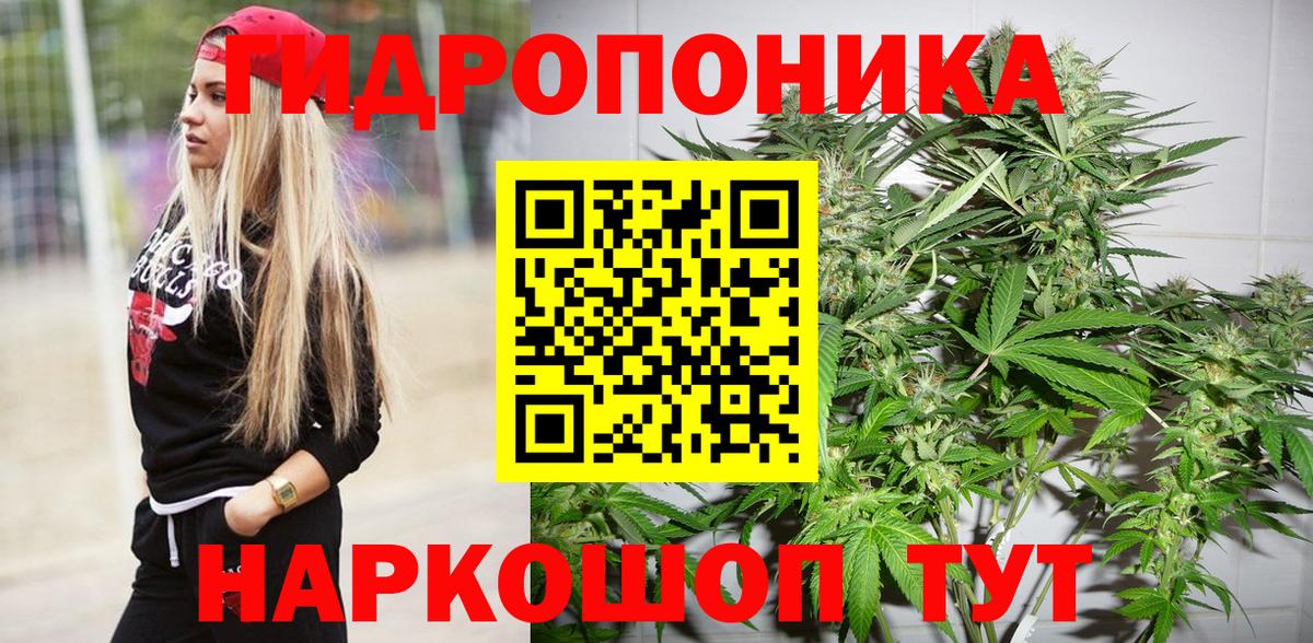 МАРИХУАНА сатива Кинель